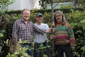 Grünflächenchef Michael Sauerzapf nimmt nach getaner Arbeit den Baum von den Stadträten Michael Reinig und Ralf Frühwirt für die Stadt im Empfang
